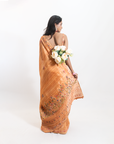 Amber Embrace Cotton Saree