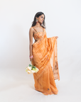 Amber Embrace Cotton Saree