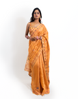 Amber Embrace Cotton Saree