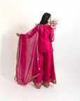 Pyaari Pink Sharara Suit