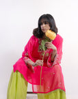 Pink Pari Organza Suit