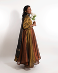 Midnight Masala Anarkali Suit