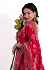 Bandi Bani Bawli Meenakari Saree